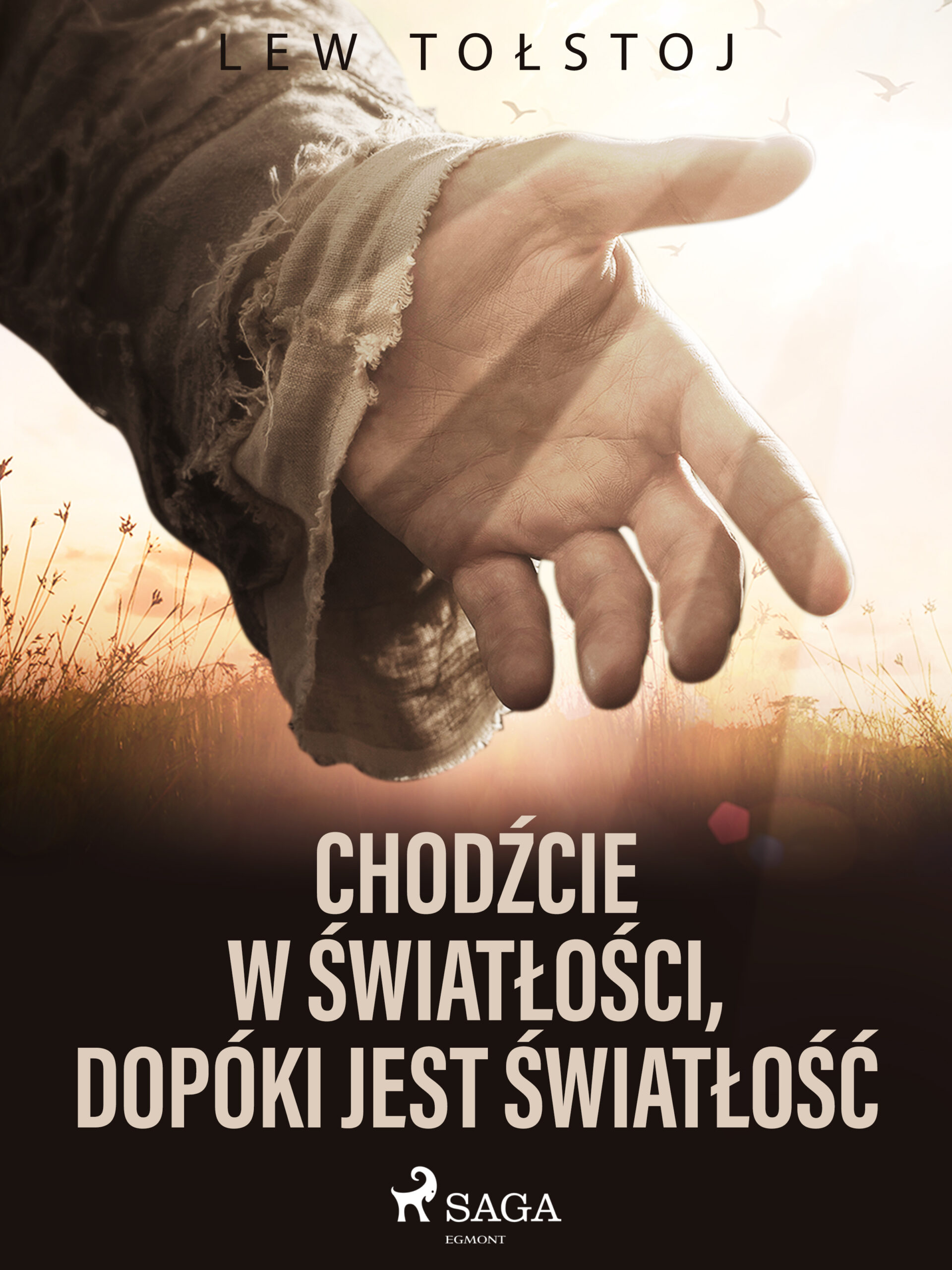 Tytuł: Chodźcie w światłości, dopóki jest światłość
Autor: Lew Tołstoj
Wydawnictwo: SAGA Egmont
Formaty: EPUB, MOBI