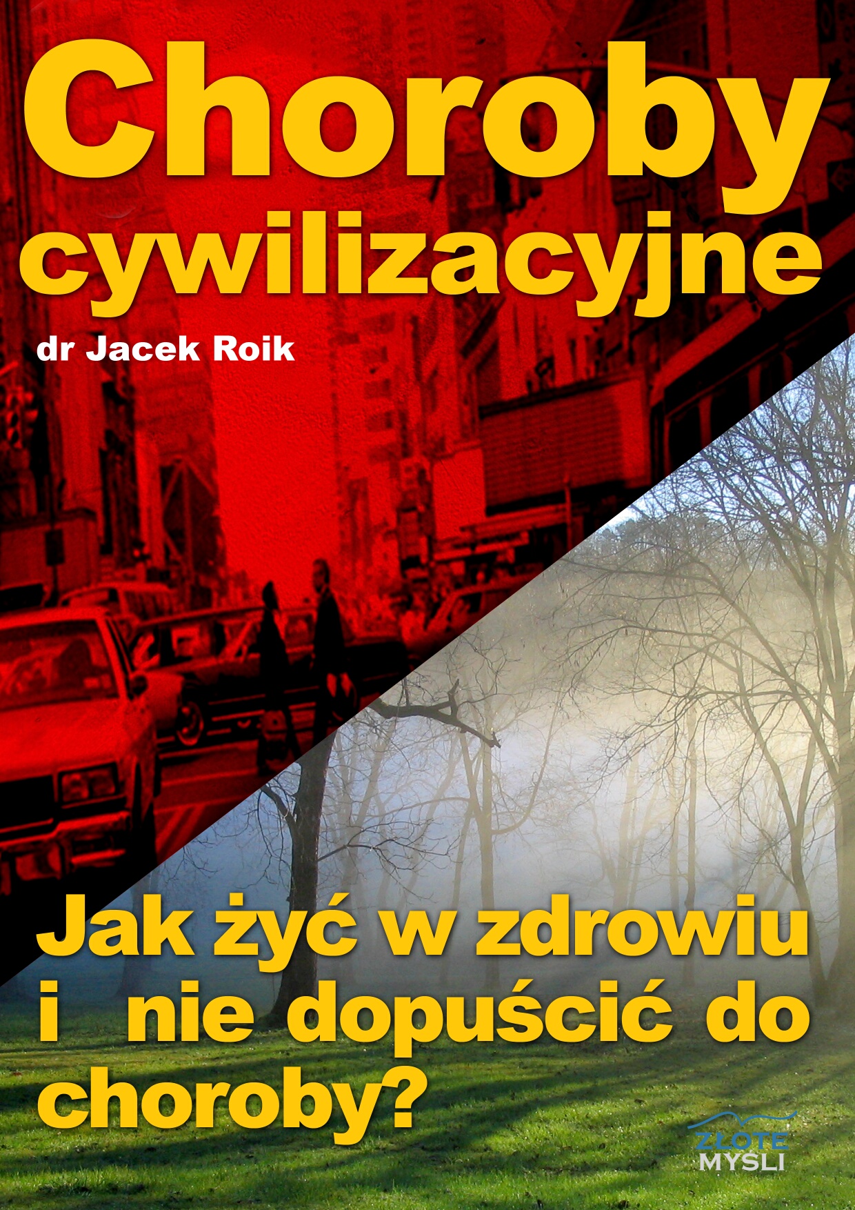 Choroby cywilizacyjne. Jak żyć w zdrowiu i nie dopuścić do choroby? — okładka e-booka