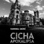Cicha apokalipsa. Zrujnowane pałace Dolnego Śląska — okładka e-booka