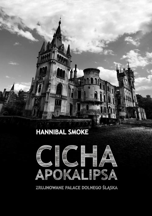 Cicha apokalipsa. Zrujnowane pałace Dolnego Śląska — okładka e-booka