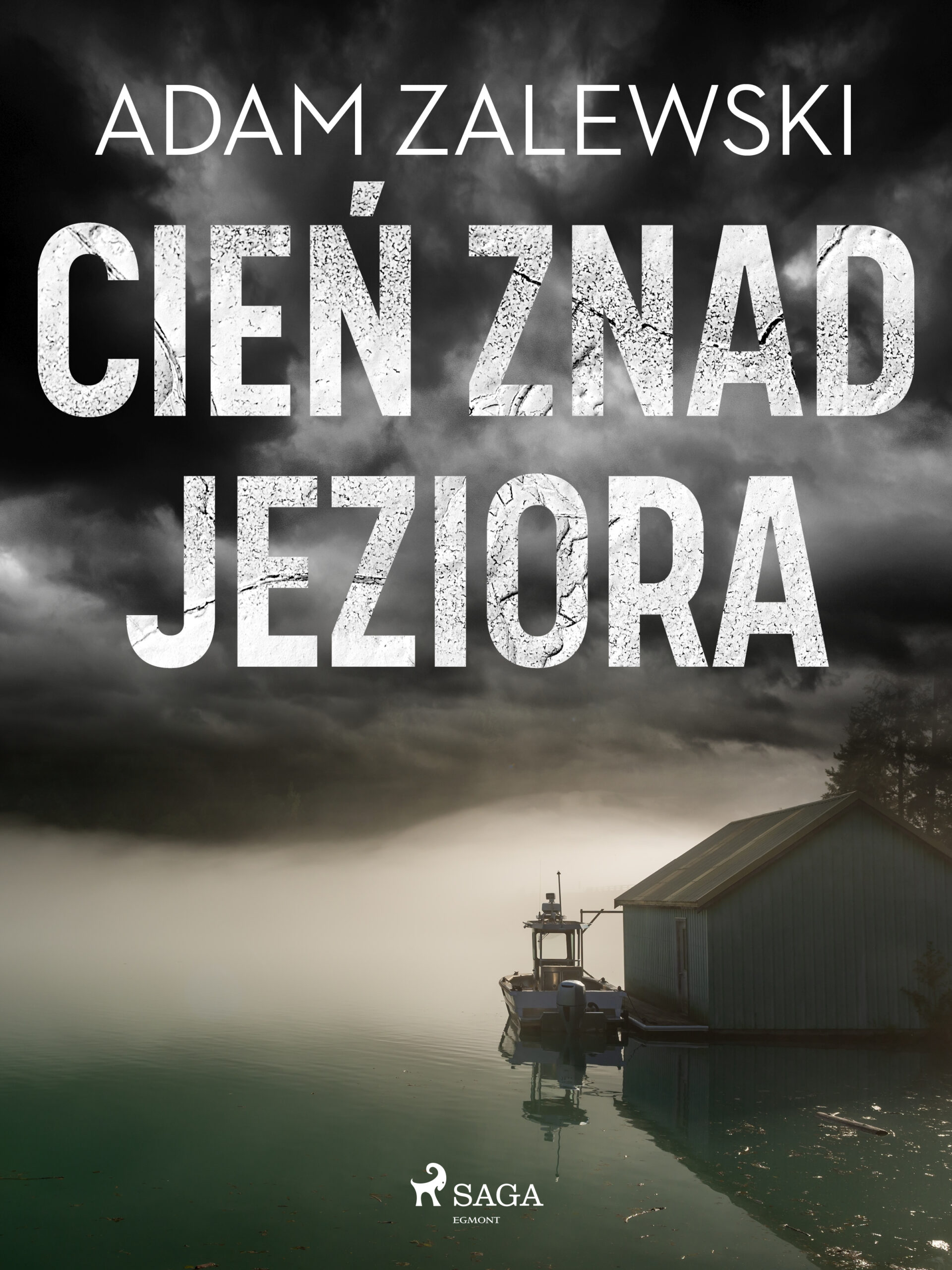 Tytuł: Cień znad jeziora
Autor: Adam Zalewski
Wydawnictwo: SAGA Egmont
Formaty: EPUB, MOBI