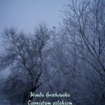 Tytuł: Ciernistym szlakiem. Opowiadanie z czasów prześladowania Unii
Autor: Wanda Grochowska
Wydawnictwo: Armoryka
Formaty: MOBI, EPUB