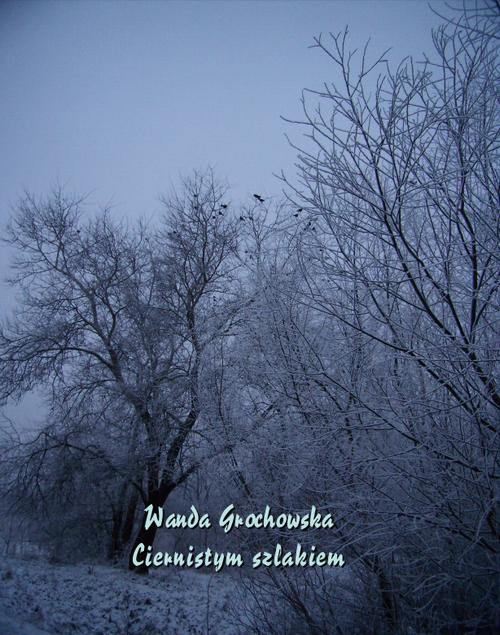 Tytuł: Ciernistym szlakiem. Opowiadanie z czasów prześladowania Unii
Autor: Wanda Grochowska
Wydawnictwo: Armoryka
Formaty: MOBI, EPUB