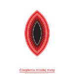Tytuł: Cierpienia młodej Hany
Autor: Katja Gorečan
Wydawnictwo: Ha!art
Formaty: MOBI, EPUB