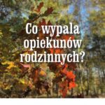 Tytuł: Co wypala opiekunów rodzinnych? Uwarunkowania wypalenia sił opiekunów osób wentylowanych mechanicznie w domu
Autor: Karolina Szatkowska
Wydawnictwo: Wydawnictwo Uniwersytetu Kazimierza Wielkiego w Bydgoszczy
Formaty: PDF