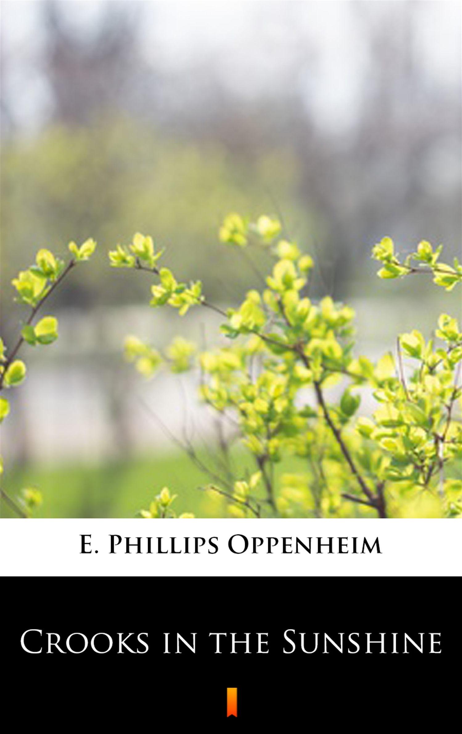 Tytuł: Crooks in the Sunshine
Autor: E. Phillips Oppenheim
Wydawnictwo: KtoCzyta.pl
Formaty: EPUB, MOBI