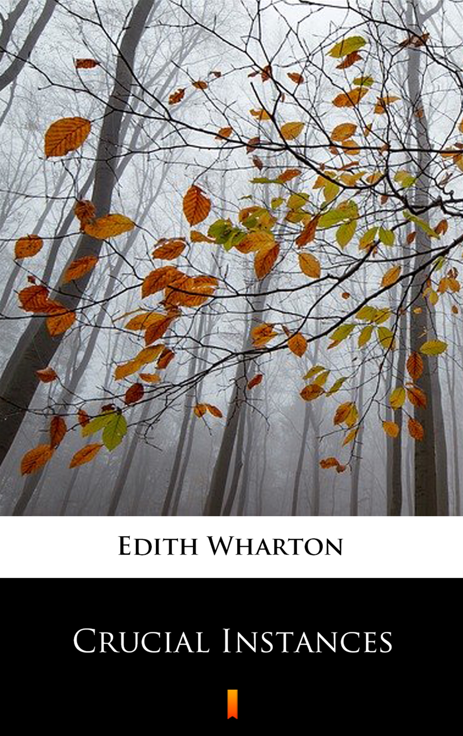 Tytuł: Crucial Instances
Autor: Edith Wharton
Wydawnictwo: KtoCzyta.pl
Formaty: EPUB, MOBI