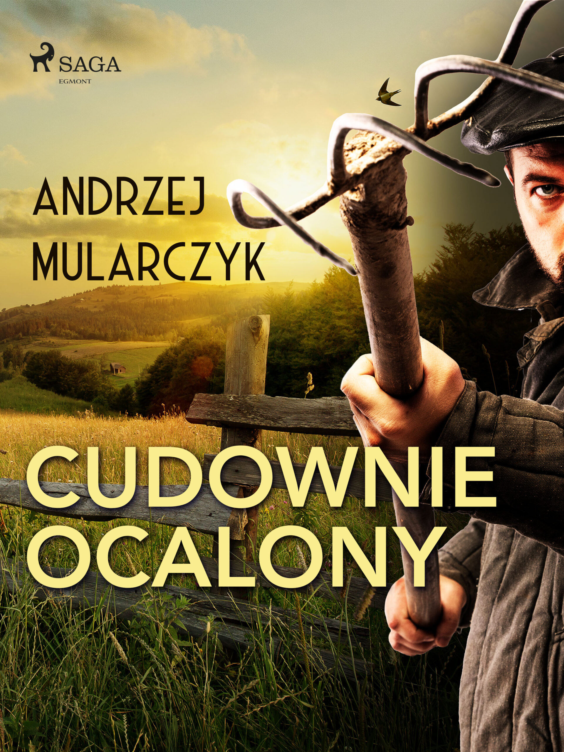 Cudownie ocalony — okładka e-booka