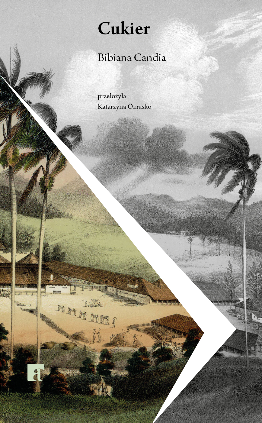 Tytuł: Cukier
Autor: Bibiana Candia
Wydawnictwo: ArtRage
Formaty: EPUB, MOBI