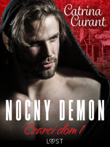 Czarci dom 1: Nocny demon – seria erotyczna — okładka e-booka