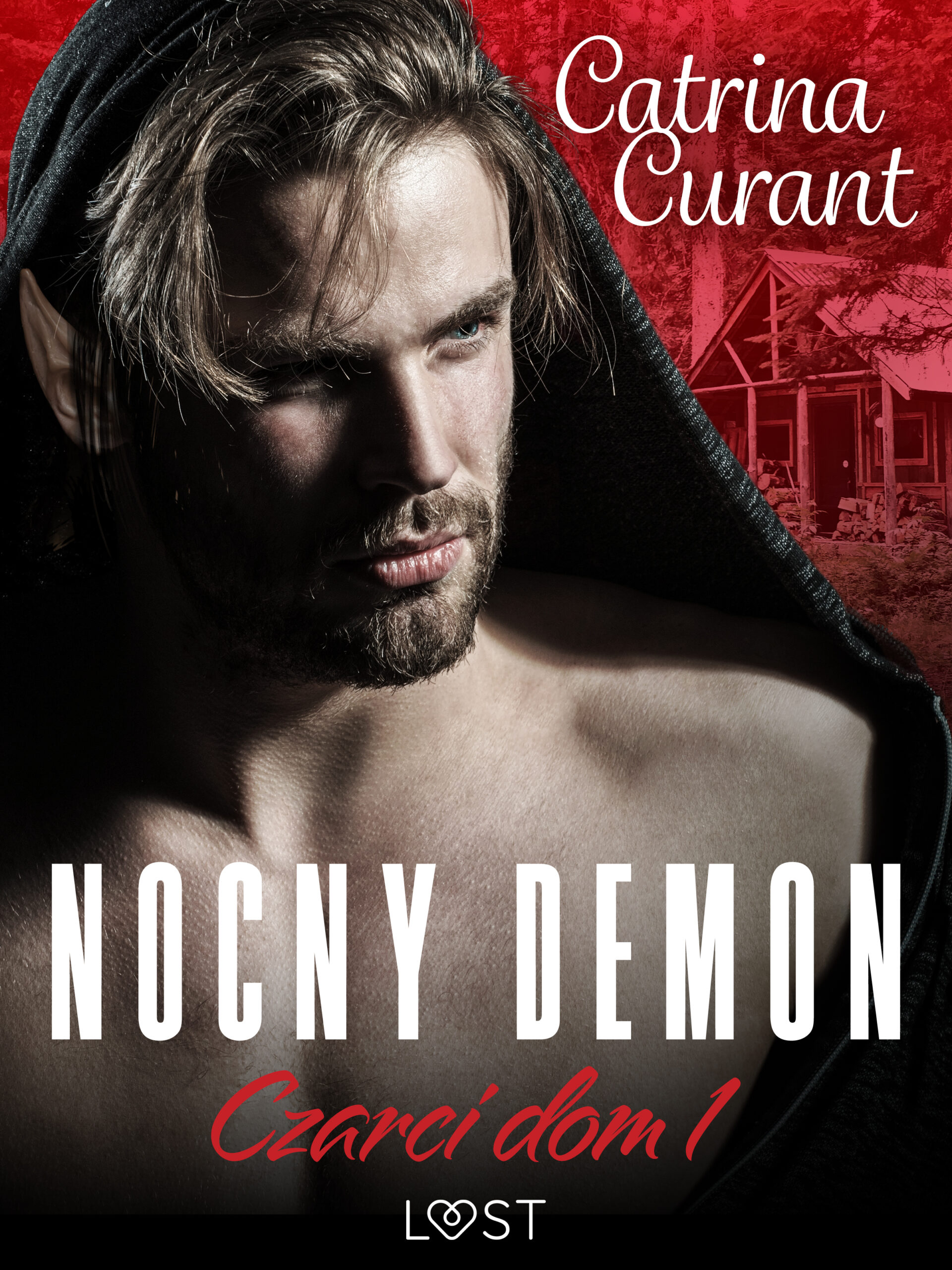 Tytuł: Czarci dom 1: Nocny demon – seria erotyczna
Autor: Catrina Curant
Wydawnictwo: LUST
Formaty: EPUB, MOBI