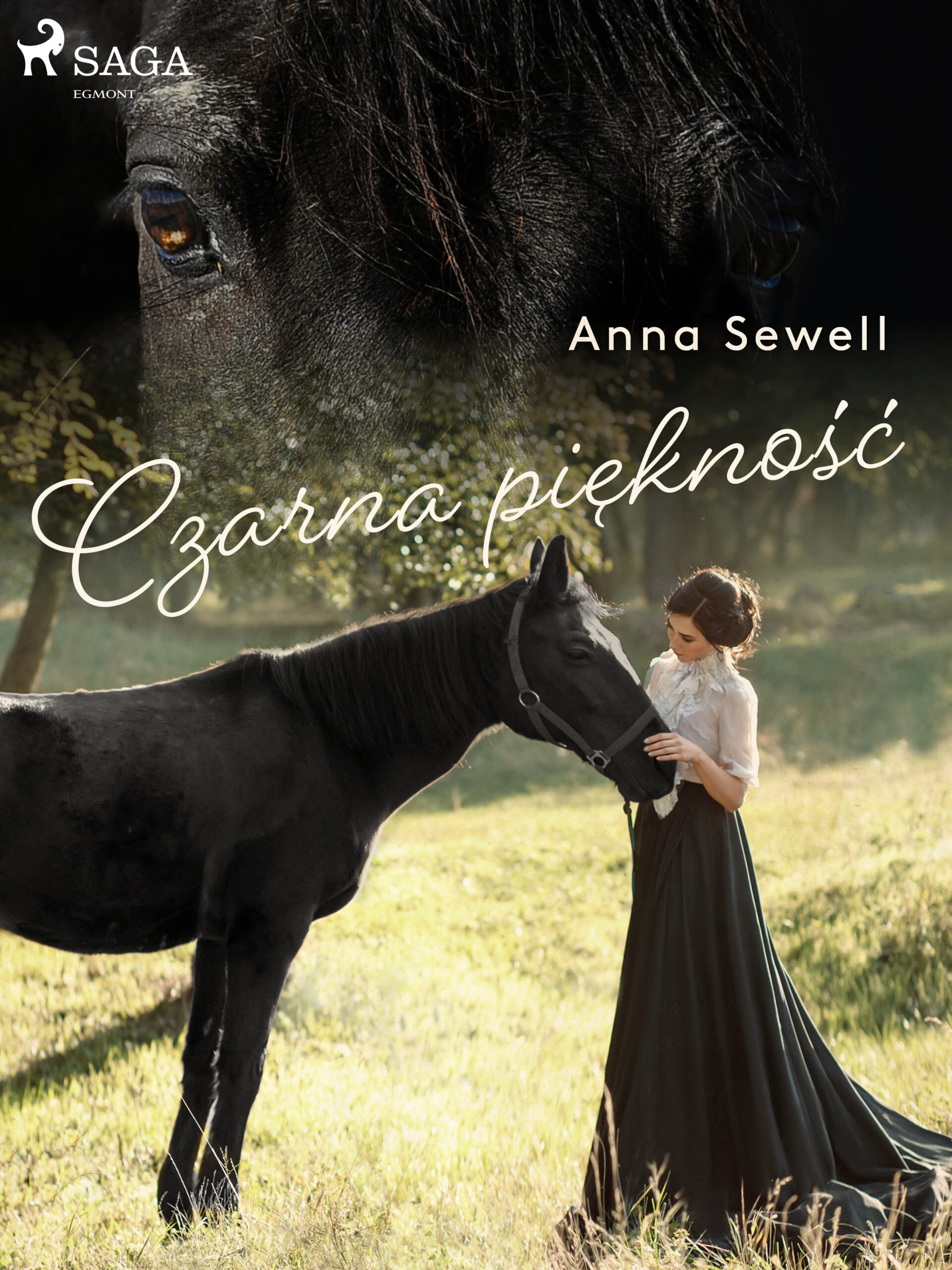 Tytuł: Czarna Piękność
Autor: Anna Sewell
Wydawnictwo: SAGA Egmont
Formaty: EPUB, MOBI
