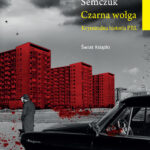 Czarna wołga — okładka e-booka