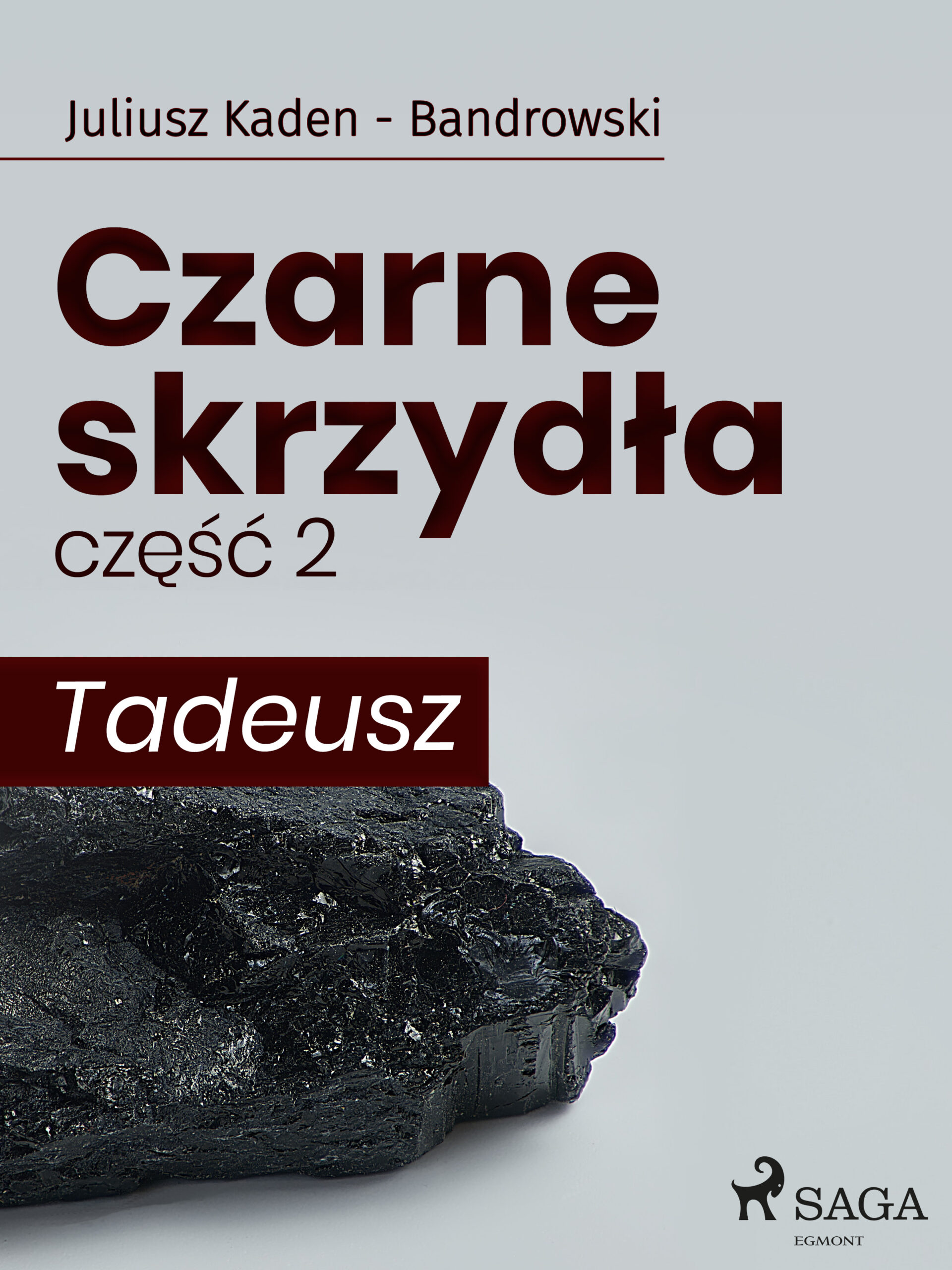 Tytuł: Czarne skrzydła 2 - Tadeusz (#2)
Autor: Juliusz Kaden-Bandrowski
Wydawnictwo: SAGA Egmont
Formaty: EPUB, MOBI