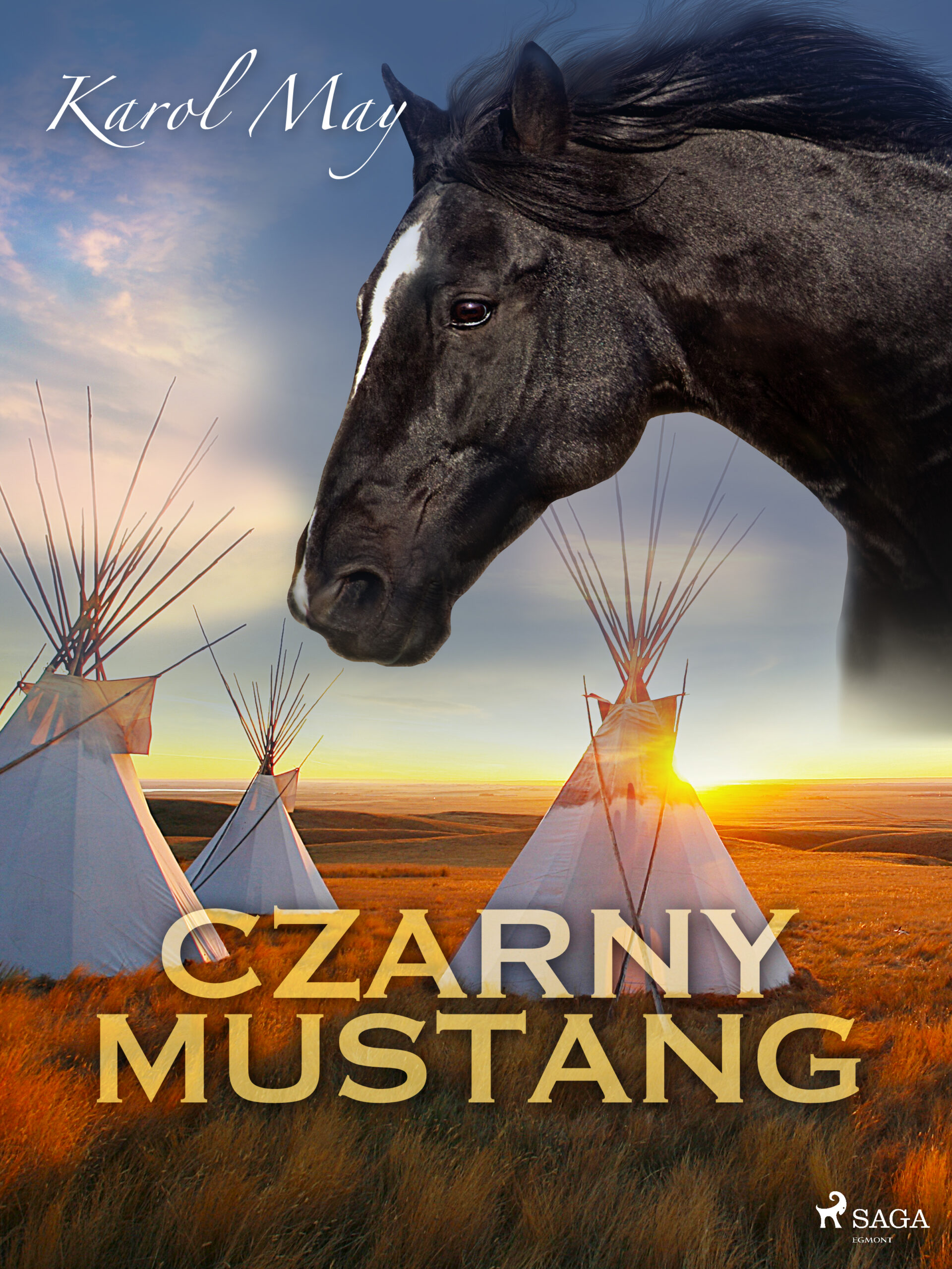 Tytuł: Czarny Mustang
Autor: Karol May
Wydawnictwo: SAGA Egmont
Formaty: EPUB, MOBI