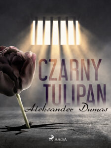 Czarny tulipan — okładka e-booka