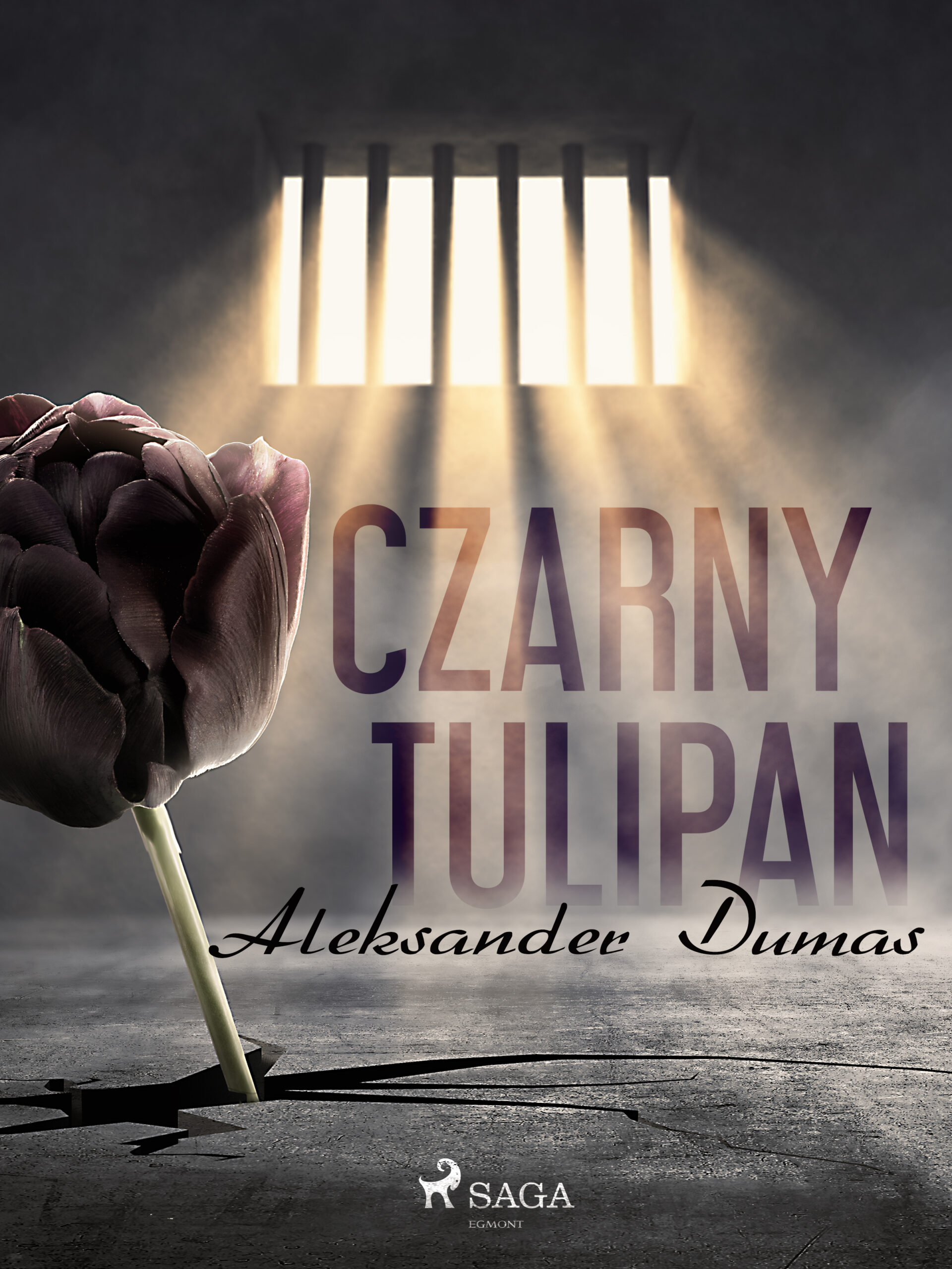 Tytuł: Czarny tulipan
Autor: Aleksander Dumas
Wydawnictwo: SAGA Egmont
Formaty: EPUB, MOBI