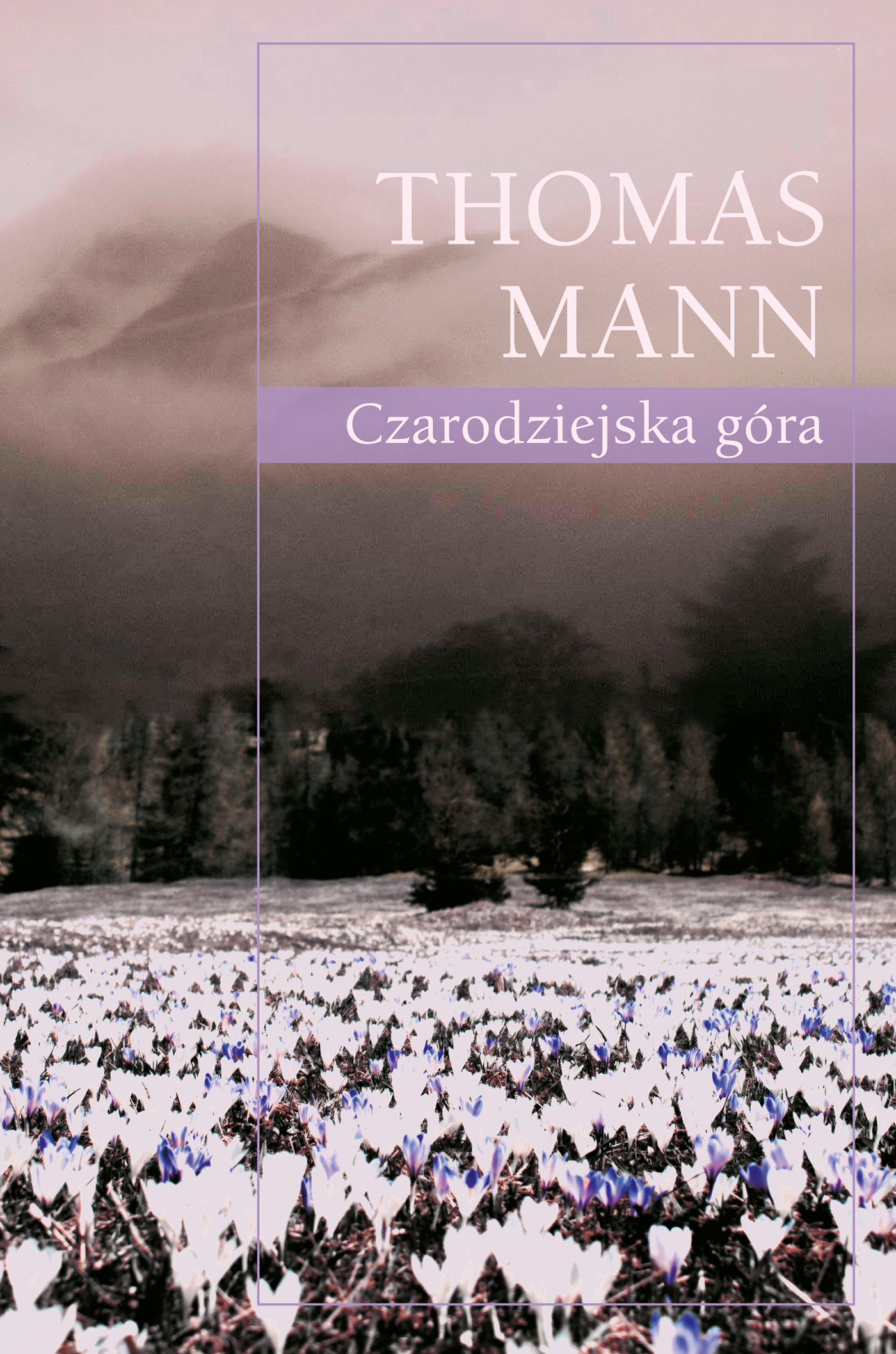 Tytuł: Czarodziejska góra
Autor: Thomas Mann
Wydawnictwo: Muza
Formaty: EPUB, MOBI