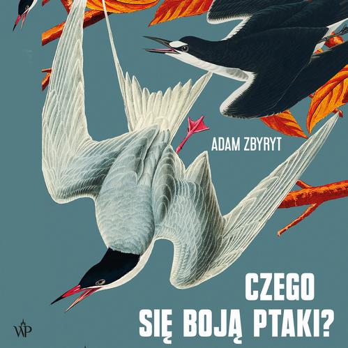Tytuł: Czego się boją ptaki?
Autor: Adam Zbyryt
Wydawnictwo: Poznańskie
Formaty: MP3