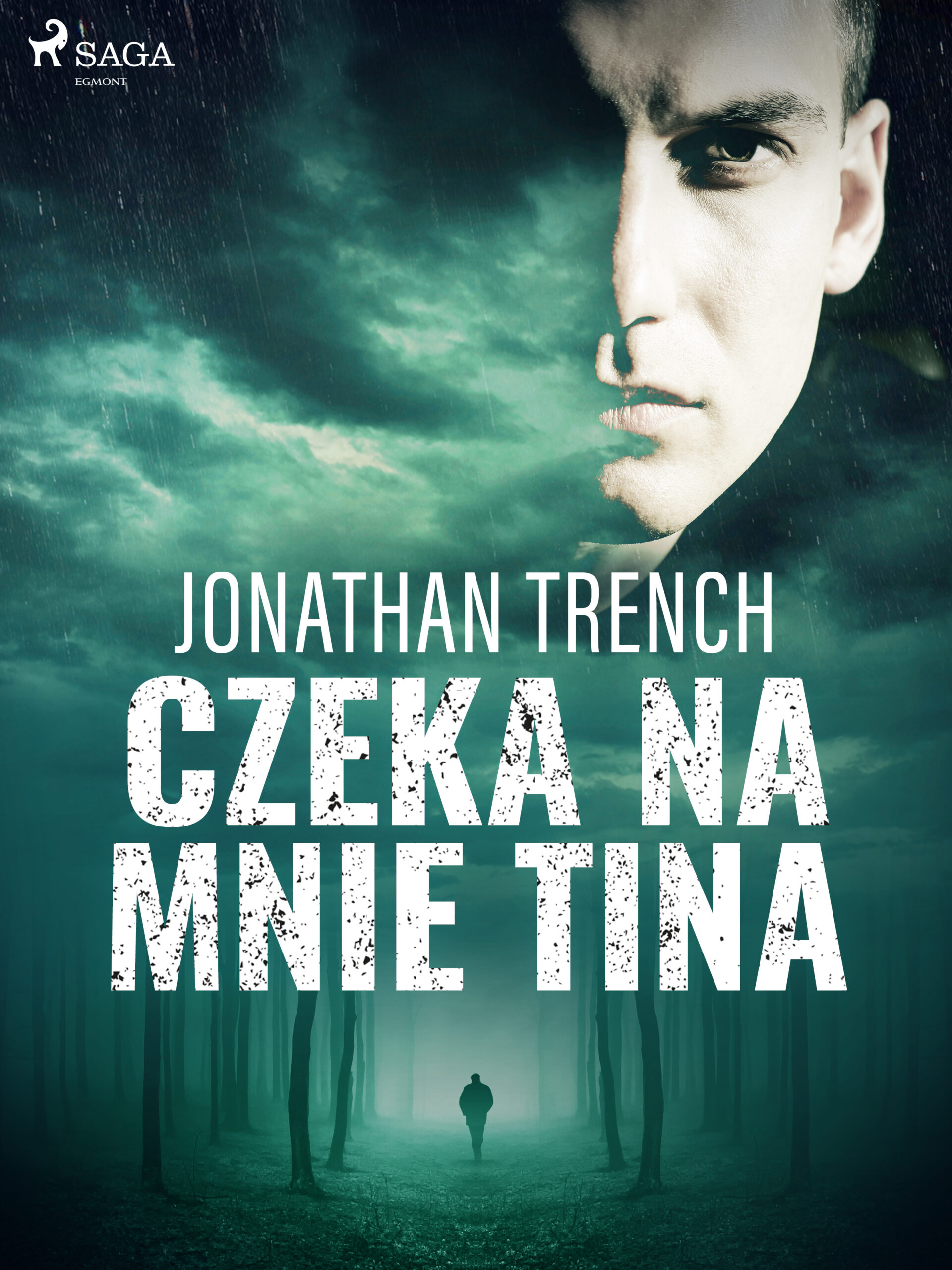 Czeka na mnie Tina — okładka e-booka