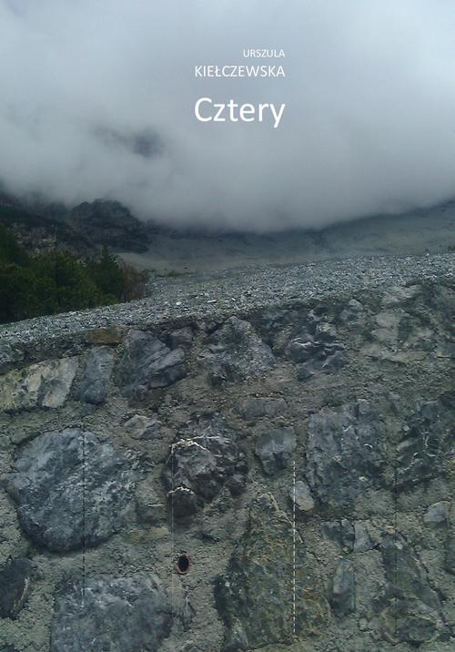 Tytuł: Cztery
Autor: Urszula Kiełczewska
Wydawnictwo: Warszawska Firma Wydawnicza
Formaty: EPUB