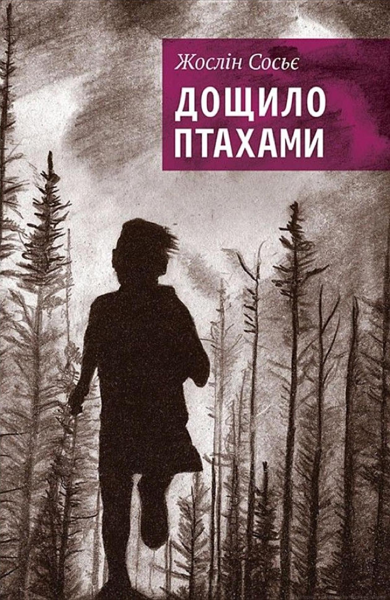 Tytuł: Дощило птахами
Autor: Жослін Сосьє
Wydawnictwo: Видавництво Анетти Антоненко
Formaty: EPUB, PDF, MOBI