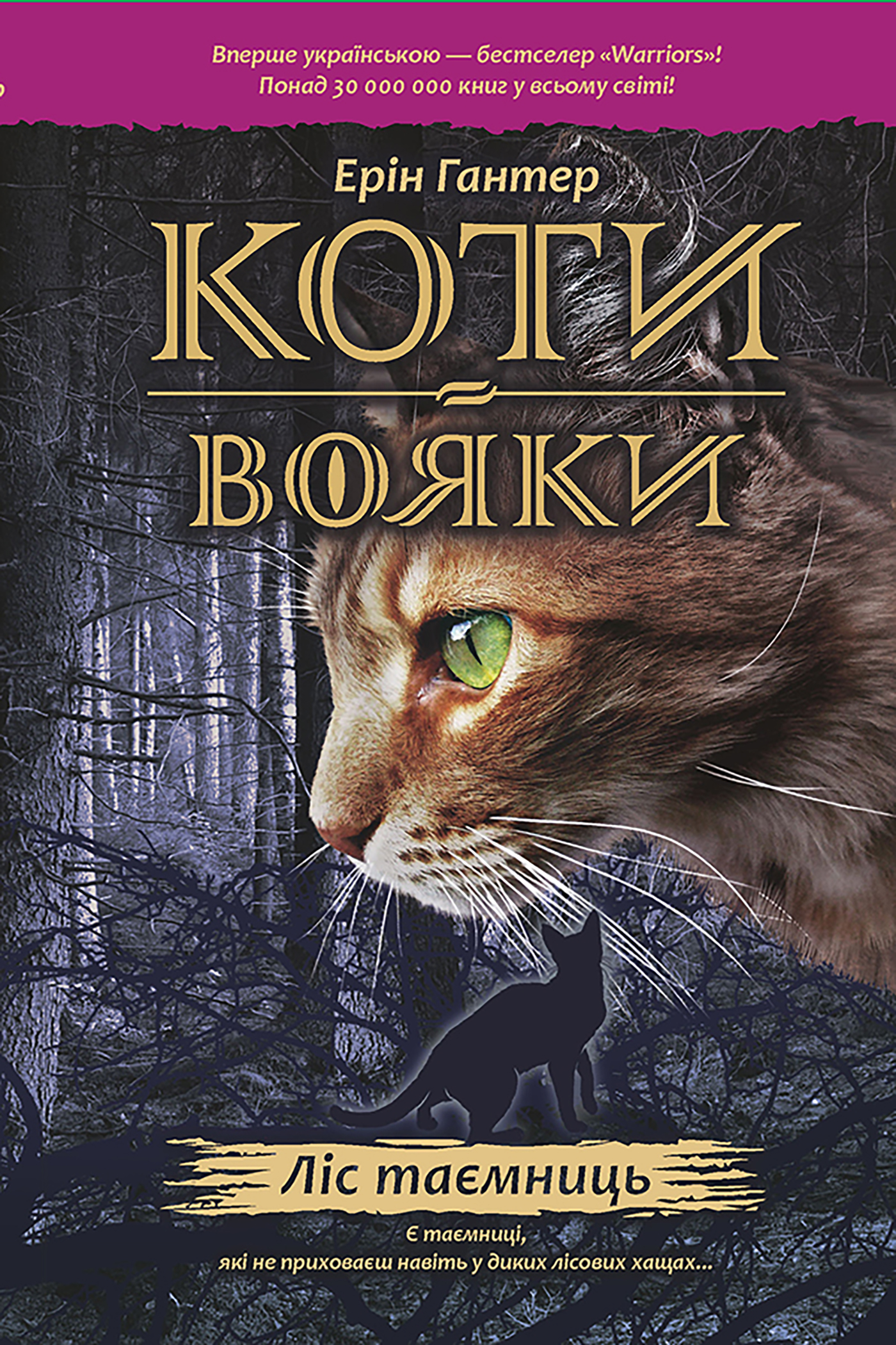 Tytuł: Коти-вояки. Цикл 1. Пророцтва починаються (Книга 3). Ліс таємниць
Autor: Ерін Гантер
Wydawnictwo: АССА
Formaty: EPUB, MOBI