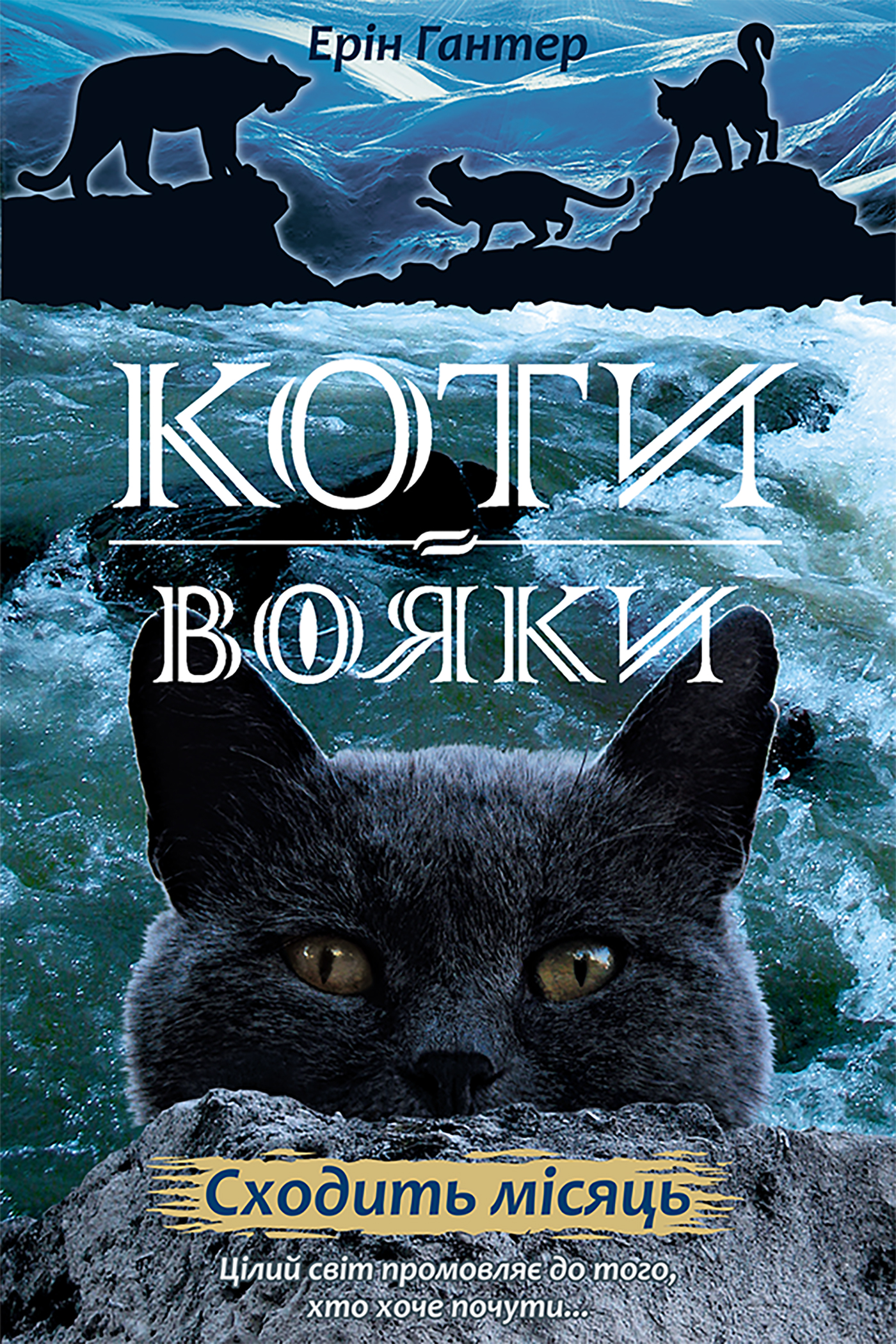 Tytuł: Коти-вояки. Цикл 2. Нове пророцтво (Книга 2). Сходить місяць
Autor: Ерін Гантер
Wydawnictwo: АССА
Formaty: EPUB, MOBI