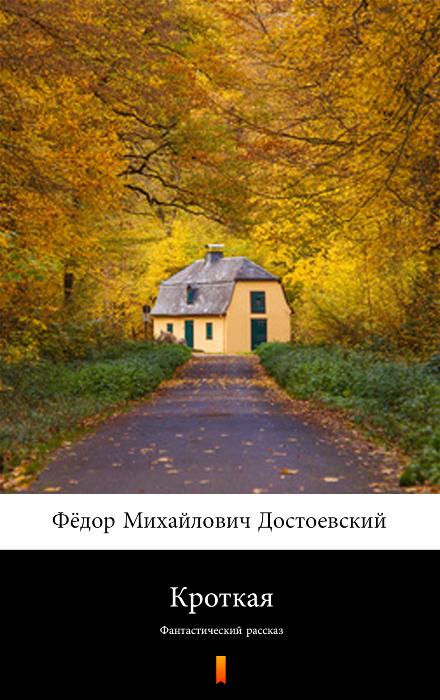 Tytuł: Кроткая (Łagodna). Фантастический рассказ
Autor: Фёдор Михайлович Достоевский, Fiodor Michajłowicz Dostojewski
Wydawnictwo: KtoCzyta.pl
Formaty: EPUB, MOBI