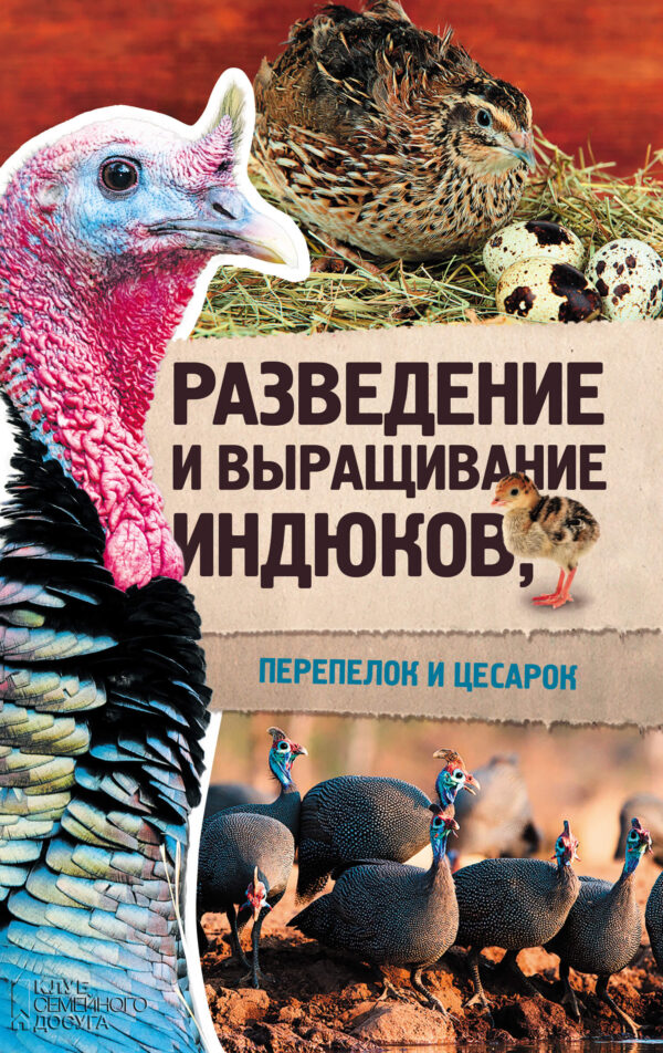 Разведение и выращивание индюков, перепелок и цесарок — okładka e-booka