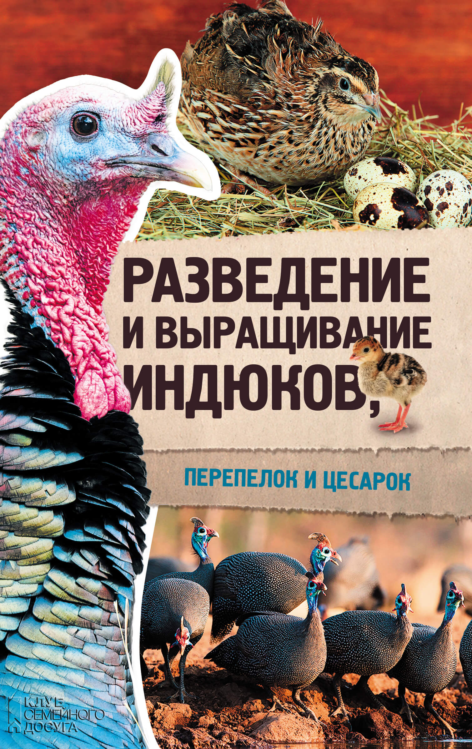 Tytuł: Разведение и выращивание индюков, перепелок и цесарок
Autor: Юрий Пернатьев
Wydawnictwo: КСД
Formaty: EPUB, MOBI