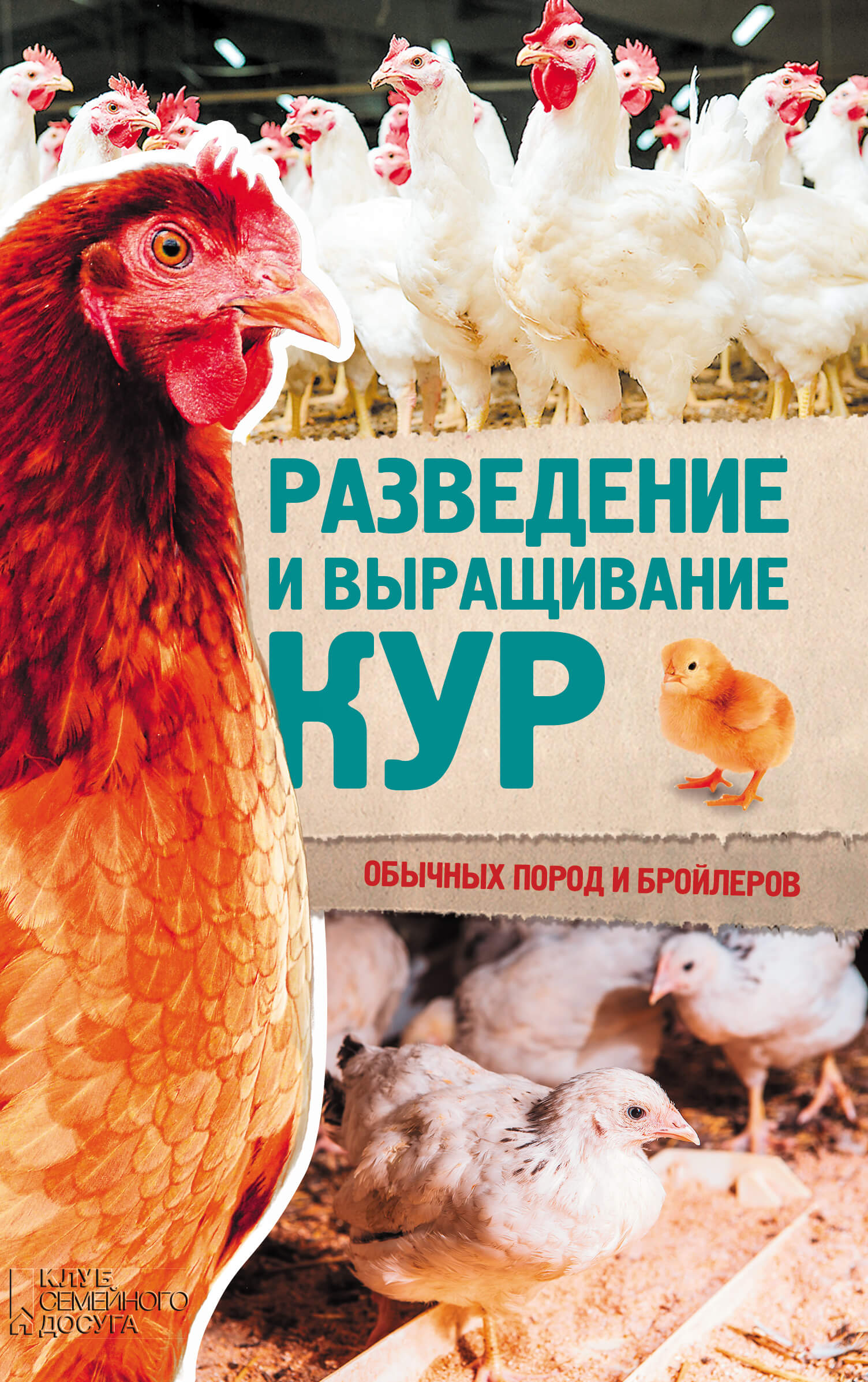 Tytuł: Разведение и выращивание кур обычных пород и бройлеров
Autor: Юрий Пернатьев
Wydawnictwo: КСД
Formaty: EPUB, MOBI