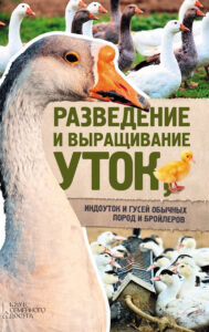 Разведение и выращивание уток, индоуток и гусей обычных пород и бройлеров — okładka e-booka