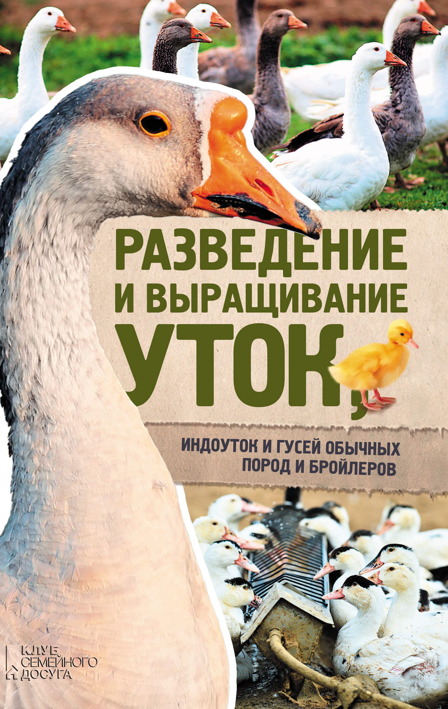Tytuł: Разведение и выращивание уток, индоуток и гусей обычных пород и бройлеров
Autor: Юрий Пернатьев
Wydawnictwo: КСД
Formaty: EPUB, MOBI