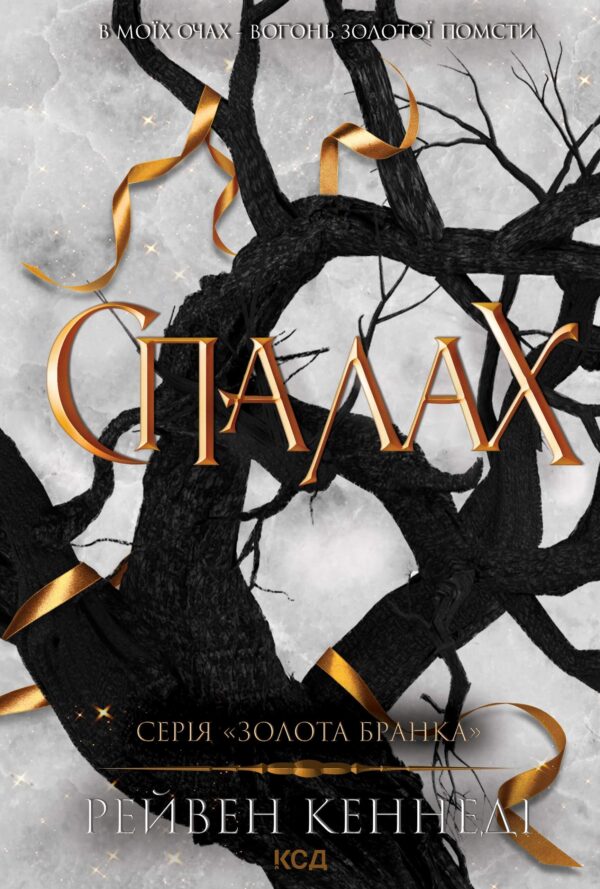 Спалах. Книга 3 — okładka e-booka