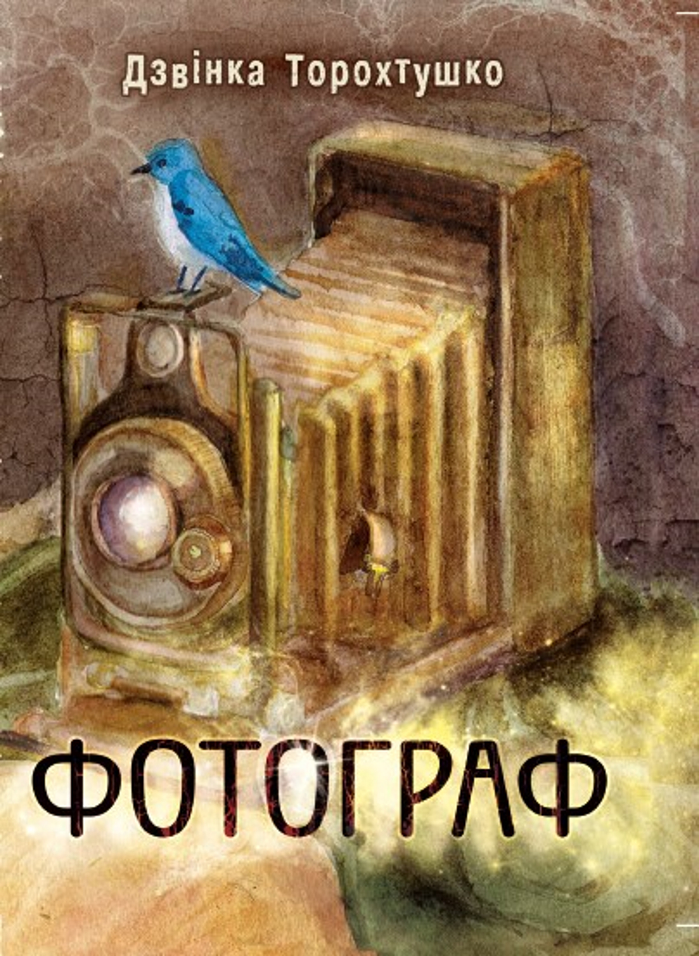 Tytuł: Фотограф. Новели
Autor: Дзвінка Торохтушко
Wydawnictwo: Алатон
Formaty: PDF