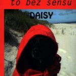 Daisy — okładka e-booka
