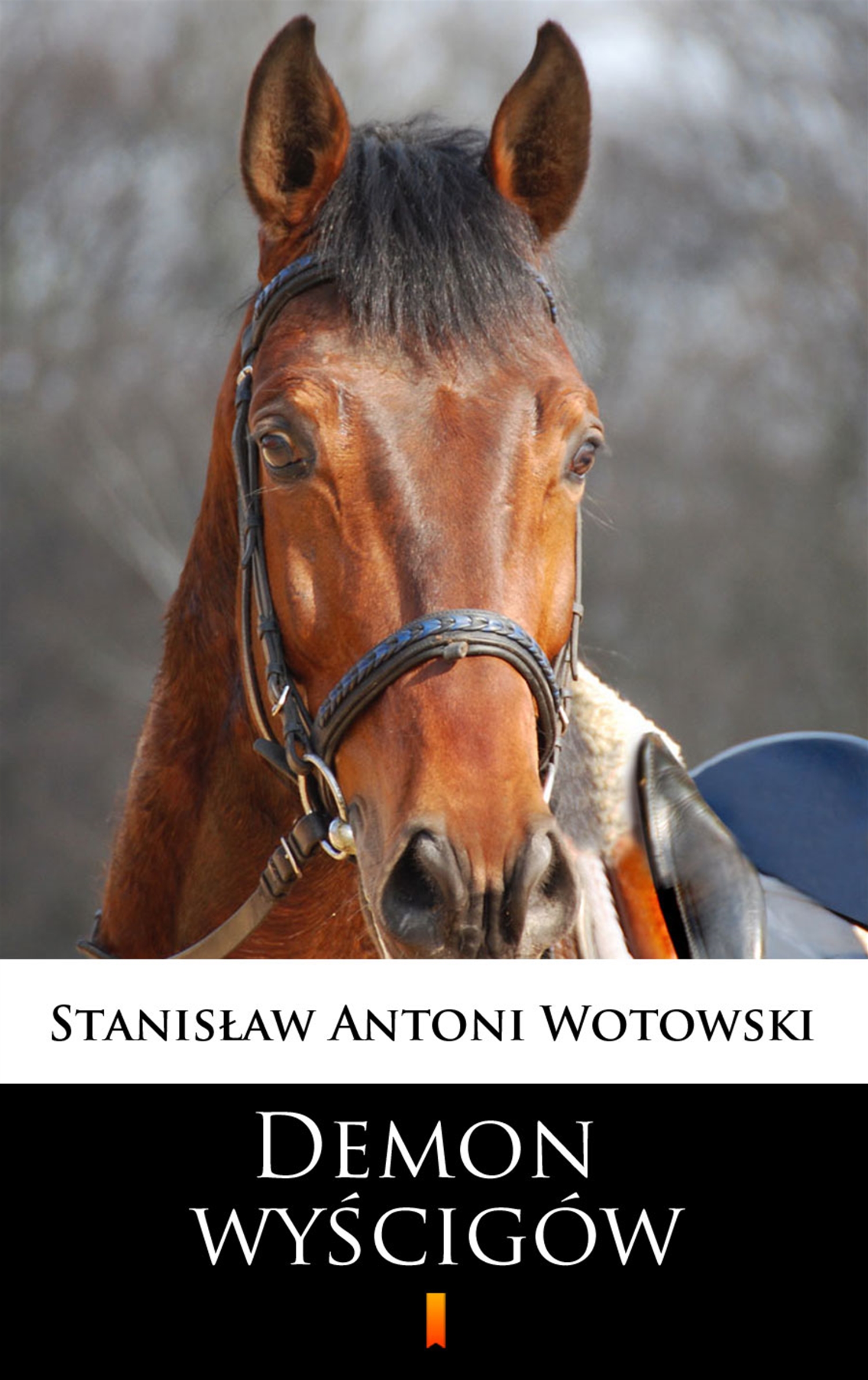 Tytuł: Demon wyścigów. Powieść sensacyjna
Autor: Stanisław Antoni Wotowski
Wydawnictwo: KtoCzyta.pl
Formaty: EPUB, MOBI