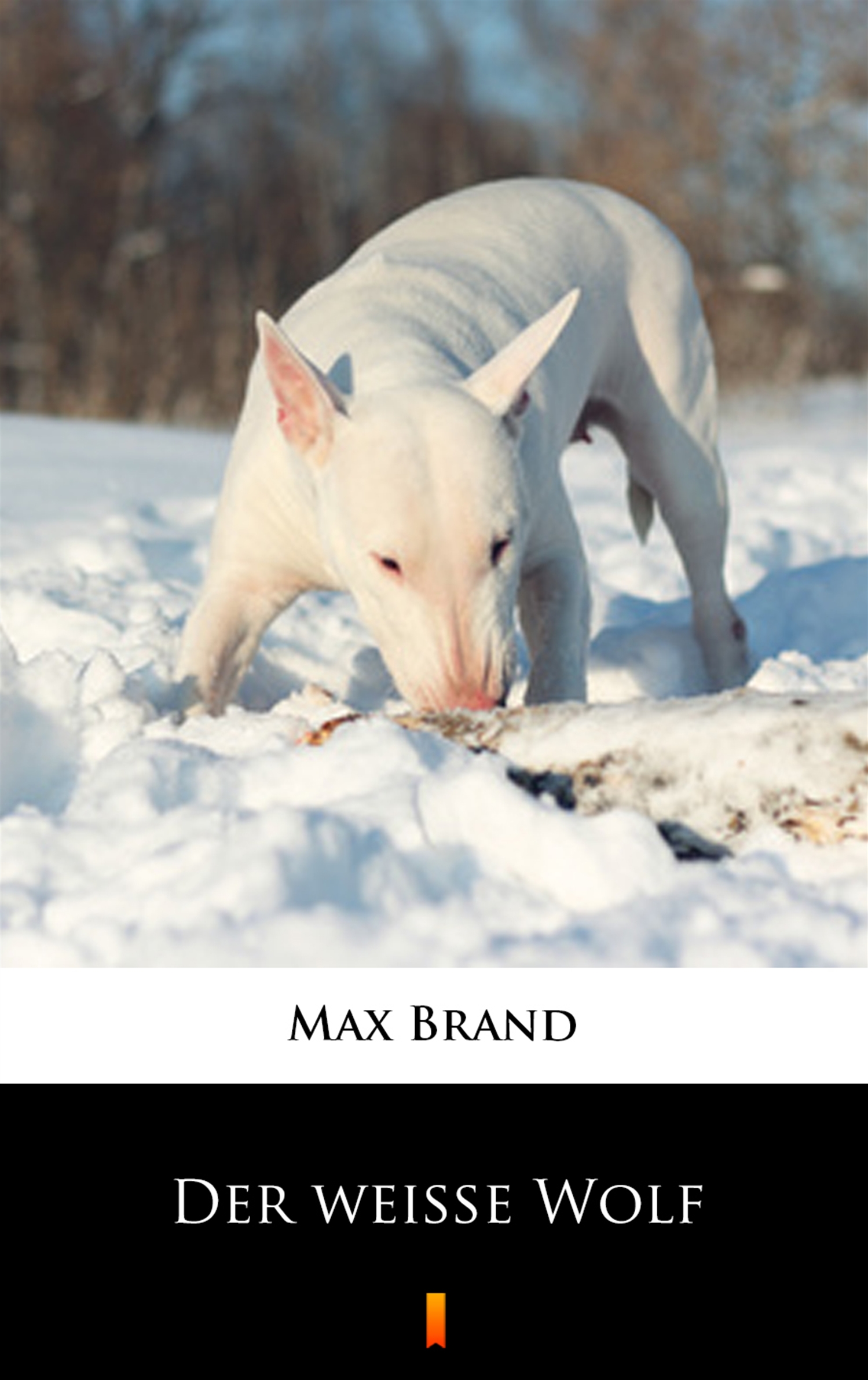 Tytuł: Der weiße Wolf
Autor: Max Brand
Wydawnictwo: KtoCzyta.pl
Formaty: EPUB, MOBI