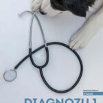 Diagnozuj z nami — okładka e-booka