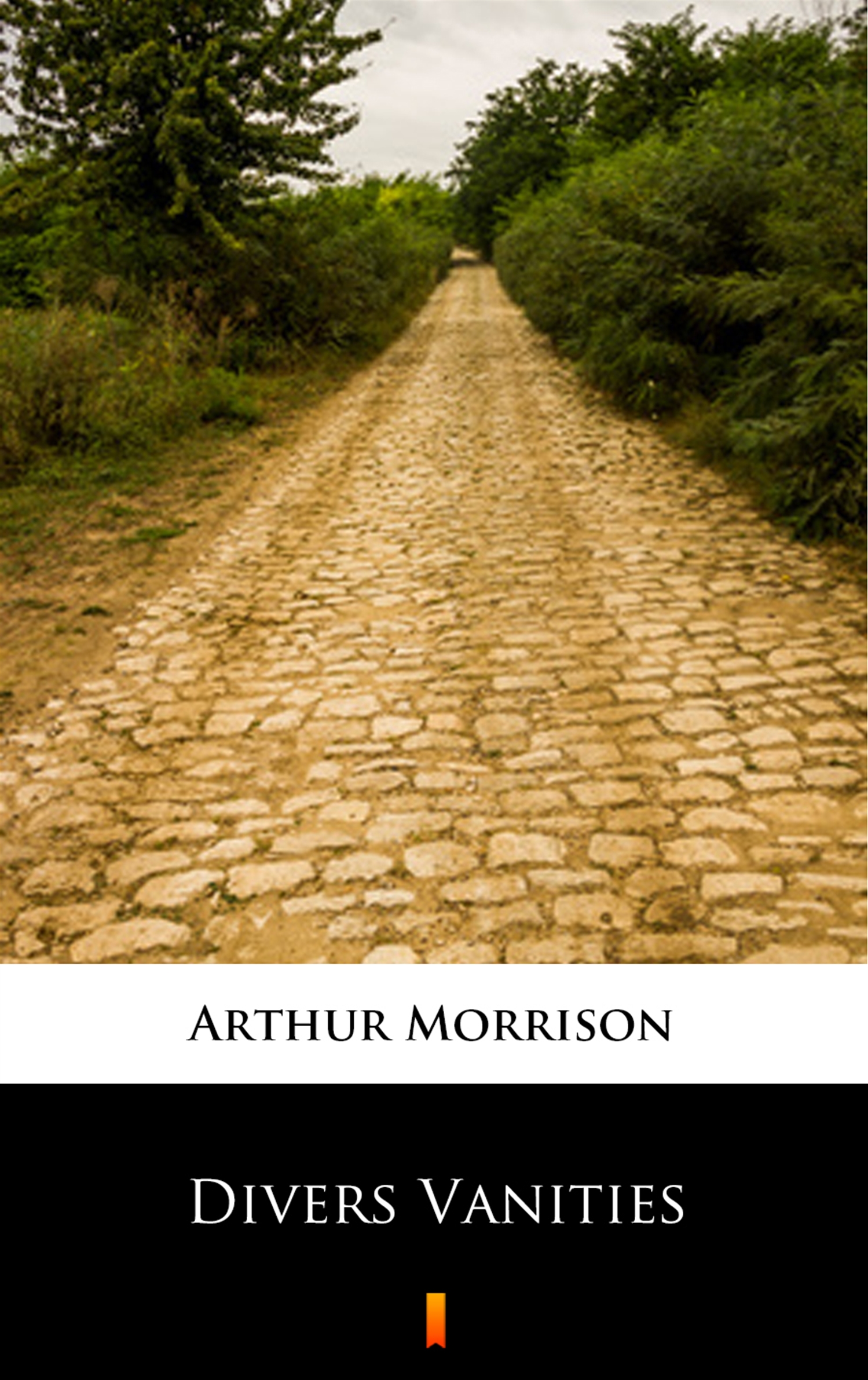 Tytuł: Divers Vanities
Autor: Arthur Morrison
Wydawnictwo: KtoCzyta.pl
Formaty: EPUB, MOBI