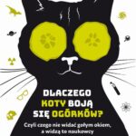 Dlaczego koty boją się ogórków? — okładka e-booka