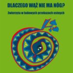 Dlaczego wąż nie ma nóg? — okładka e-booka