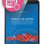Tytuł: Dobezylan wapnia jako przykład alternatywnego i skutecznego leczenia objawów przewlekłej choroby żylnej
Autor: Andrzej Wojtak
Wydawnictwo: Medical Education
Formaty: EPUB, PDF, MOBI
