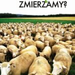 Dokąd zmierzamy? — okładka e-booka