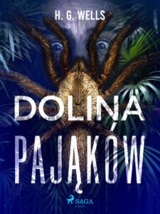 Dolina pająków — okładka e-booka