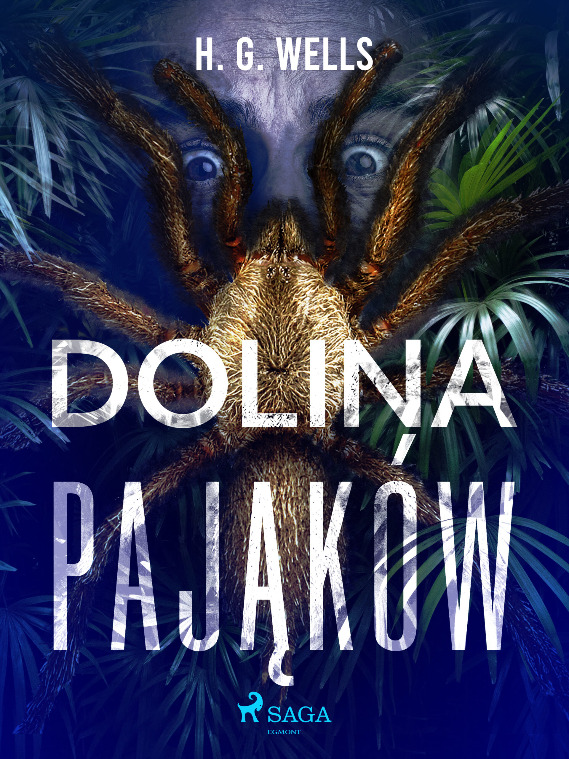 Tytuł: Dolina pająków
Autor: H. G. Wells
Wydawnictwo: SAGA Egmont
Formaty: EPUB, MOBI