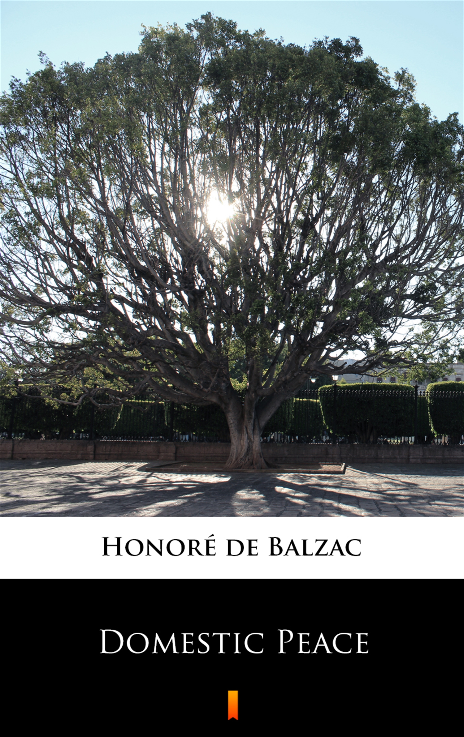 Tytuł: Domestic Peace
Autor: Honoré de Balzac
Wydawnictwo: KtoCzyta.pl
Formaty: EPUB, MOBI