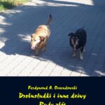Tytuł: Drobnoludki i inne dziwy. Rudy zbój
Autor: Antoni Ferdynand Ossendowski
Wydawnictwo: Armoryka
Formaty: EPUB, MOBI