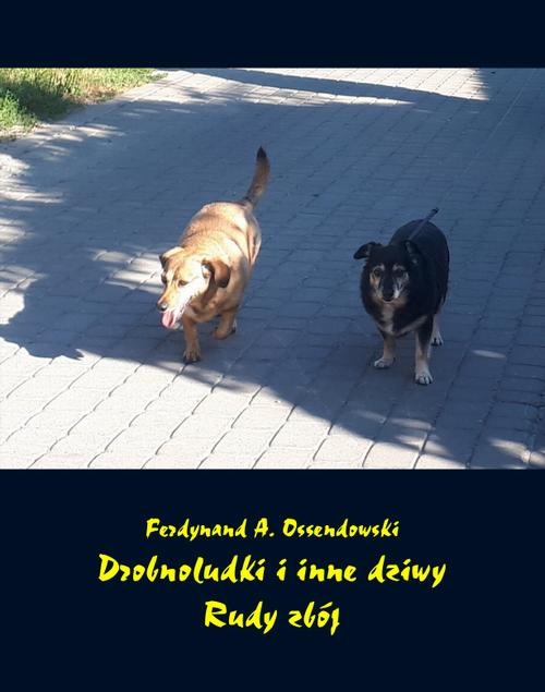 Tytuł: Drobnoludki i inne dziwy. Rudy zbój
Autor: Antoni Ferdynand Ossendowski
Wydawnictwo: Armoryka
Formaty: EPUB, MOBI